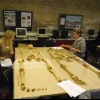 MSc in Bioarchaeology
